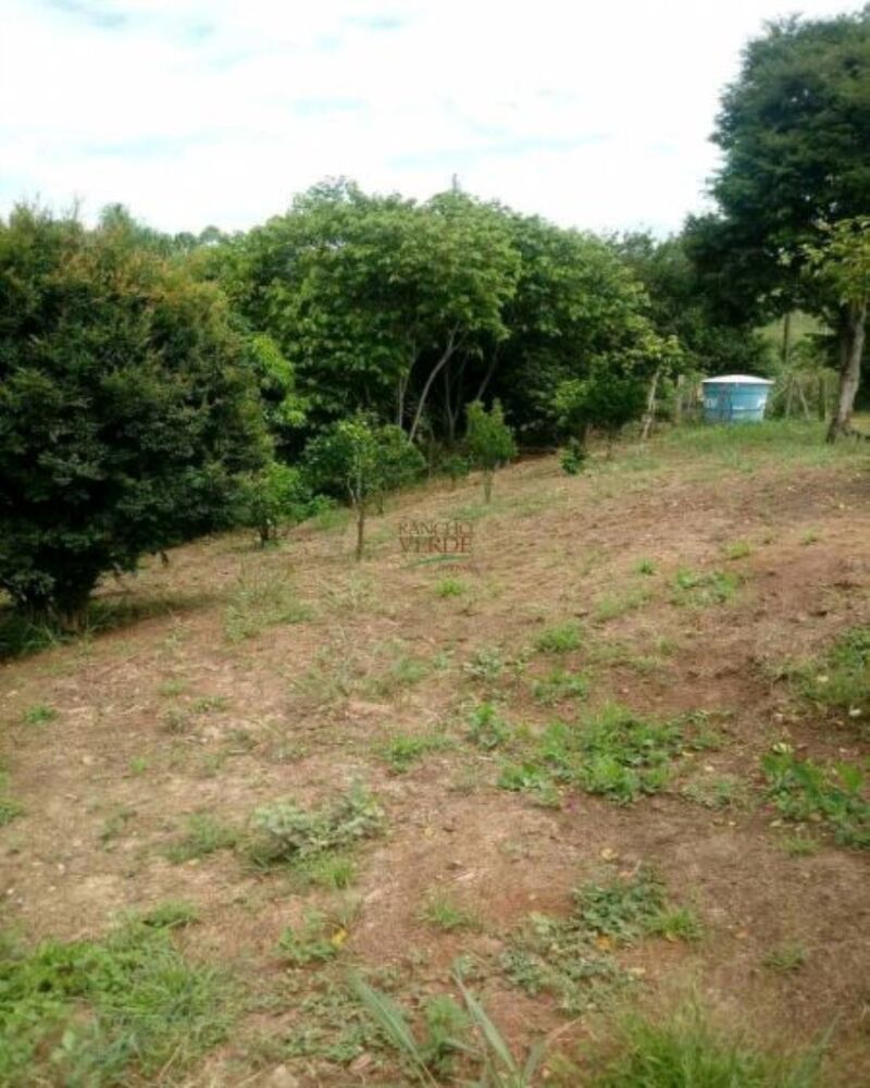 Sítio, 2 hectares - Foto 6
