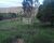 Terreno, 2 hectares - Foto 4