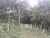 Fazenda, 29 m² - Foto 2