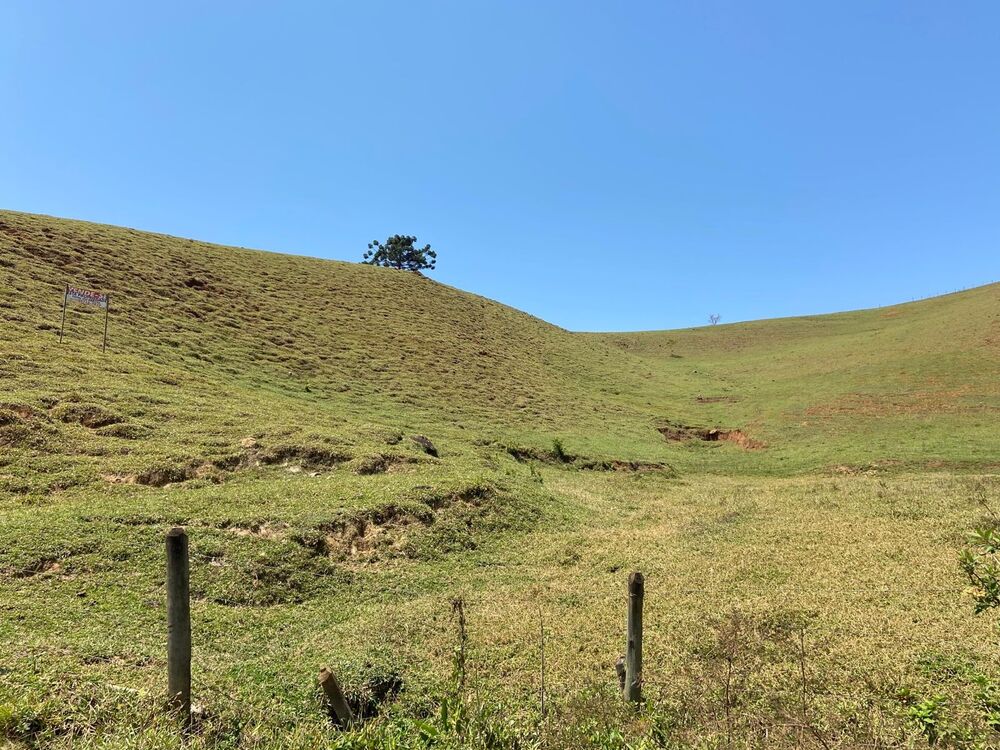 Haras e Área Rural Padrão à venda, 169400m² - Foto 3
