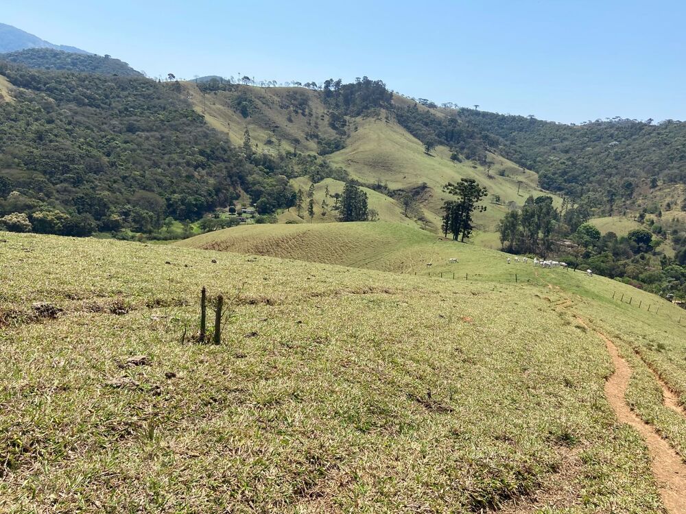 Haras e Área Rural Padrão à venda, 169400m² - Foto 8