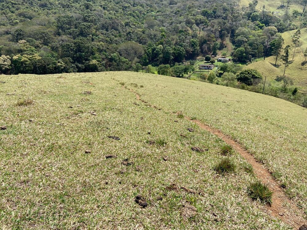 Haras e Área Rural Padrão à venda, 169400m² - Foto 6