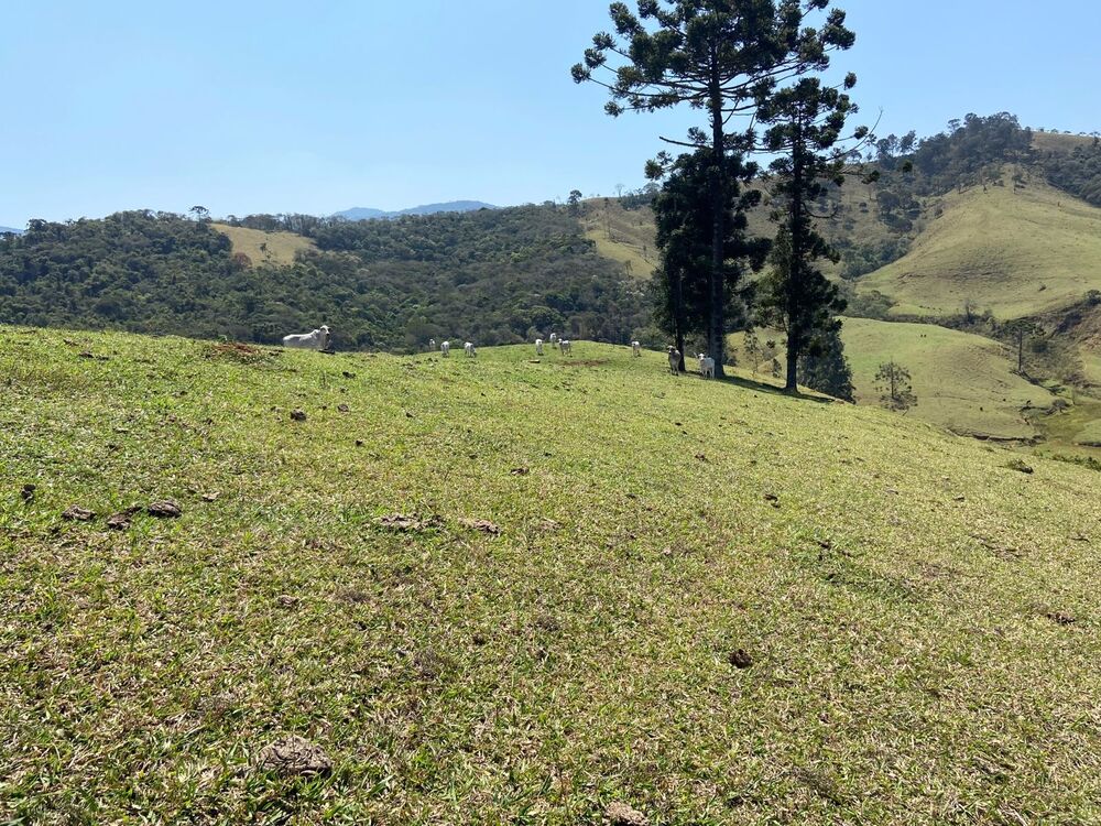 Haras e Área Rural Padrão à venda, 169400m² - Foto 10