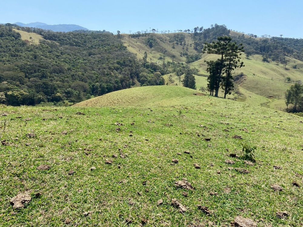 Haras e Área Rural Padrão à venda, 169400m² - Foto 7