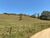 Fazenda, 17 hectares - Foto 1