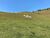Fazenda, 17 hectares - Foto 2
