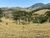 Fazenda-Sítio-Chácara, 17 hectares - Foto 12