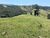 Fazenda-Sítio-Chácara, 17 hectares - Foto 7