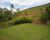 Sítio, 2 quartos, 5 hectares - Foto 11