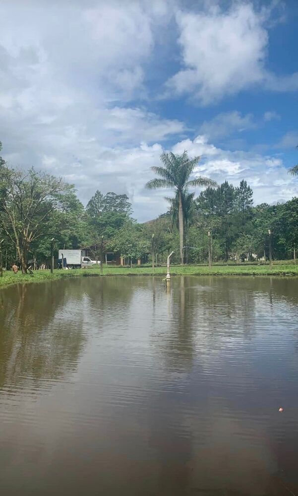 Chácara, 6000 m² - Foto 4