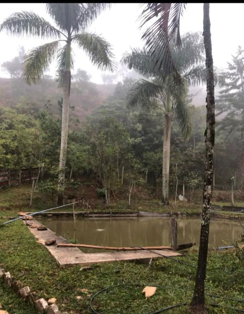 Chácara, 6000 m² - Foto 3