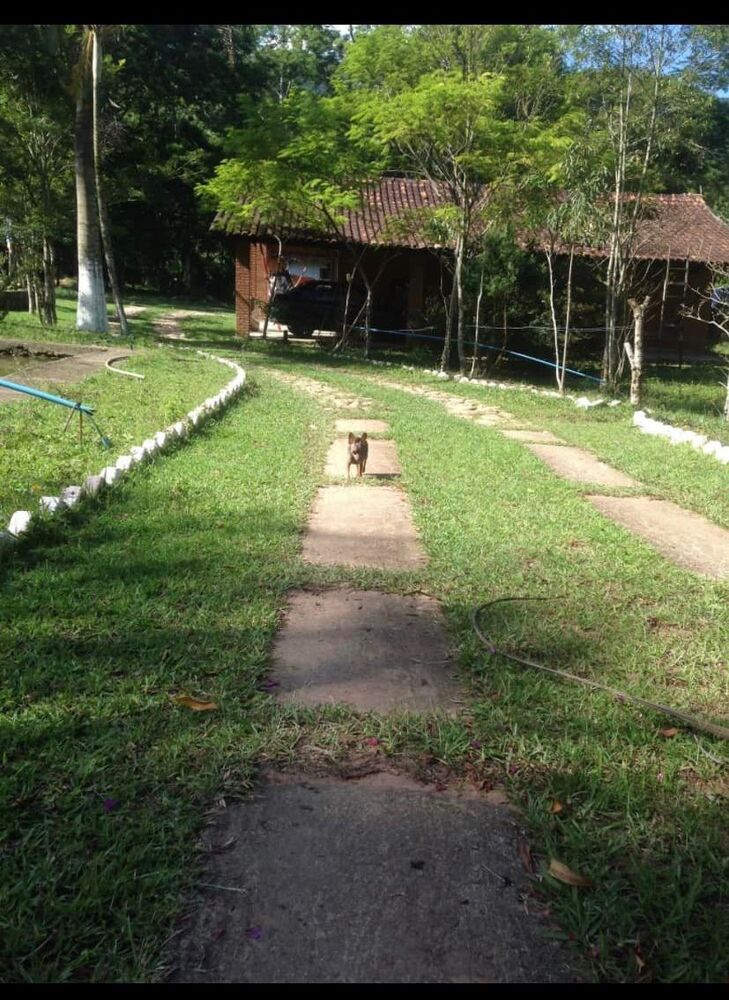 Chácara, 6000 m² - Foto 5