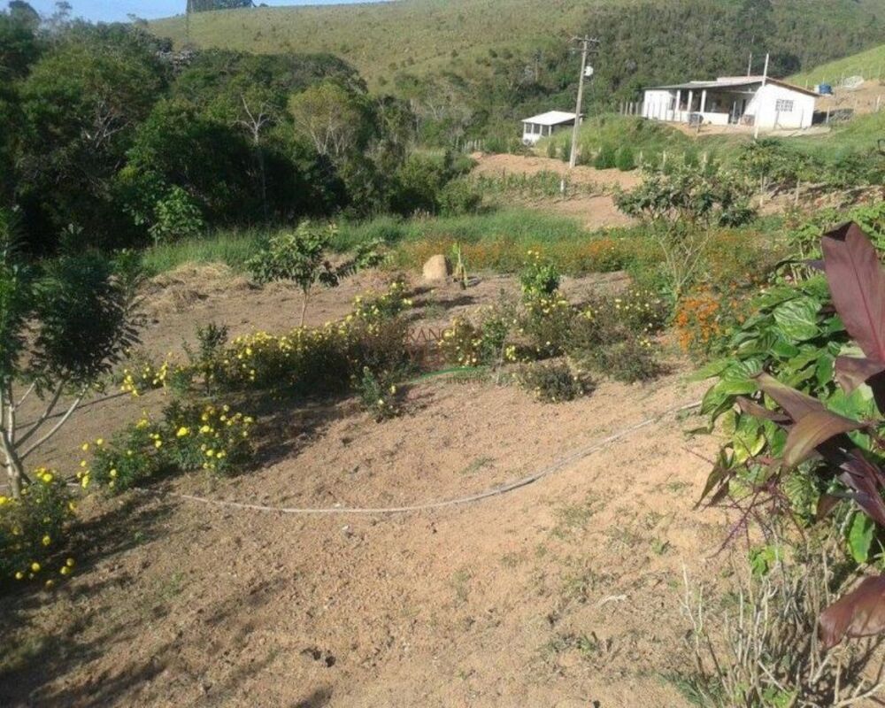 Sítio à venda com 4 quartos, 145200m² - Foto 2