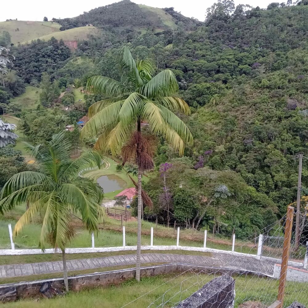 Sítio, 3 quartos, 2 hectares - Foto 3