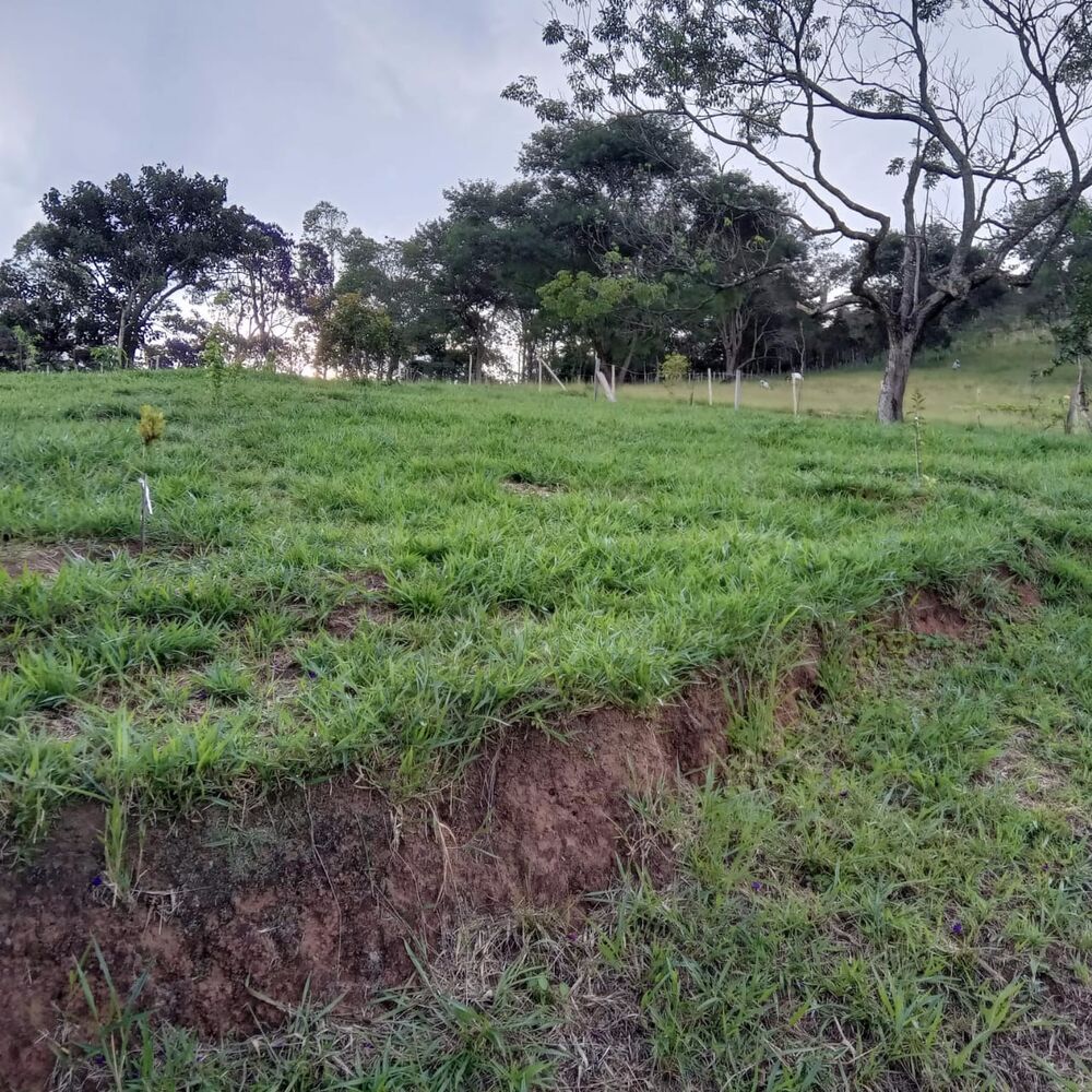 Sítio, 3 quartos, 2 hectares - Foto 4