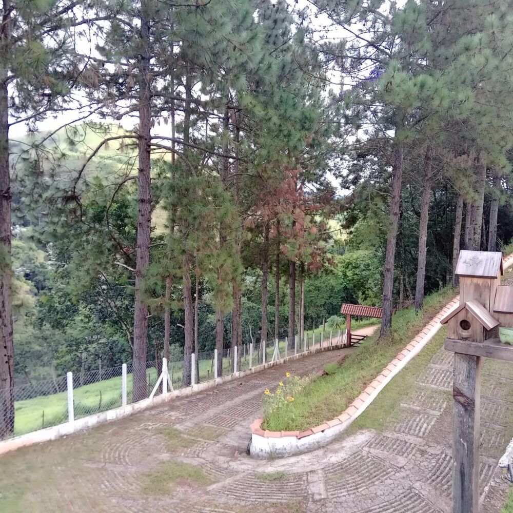 Sítio, 3 quartos, 2 hectares - Foto 25