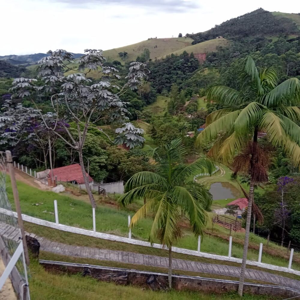 Sítio, 3 quartos, 2 hectares - Foto 10