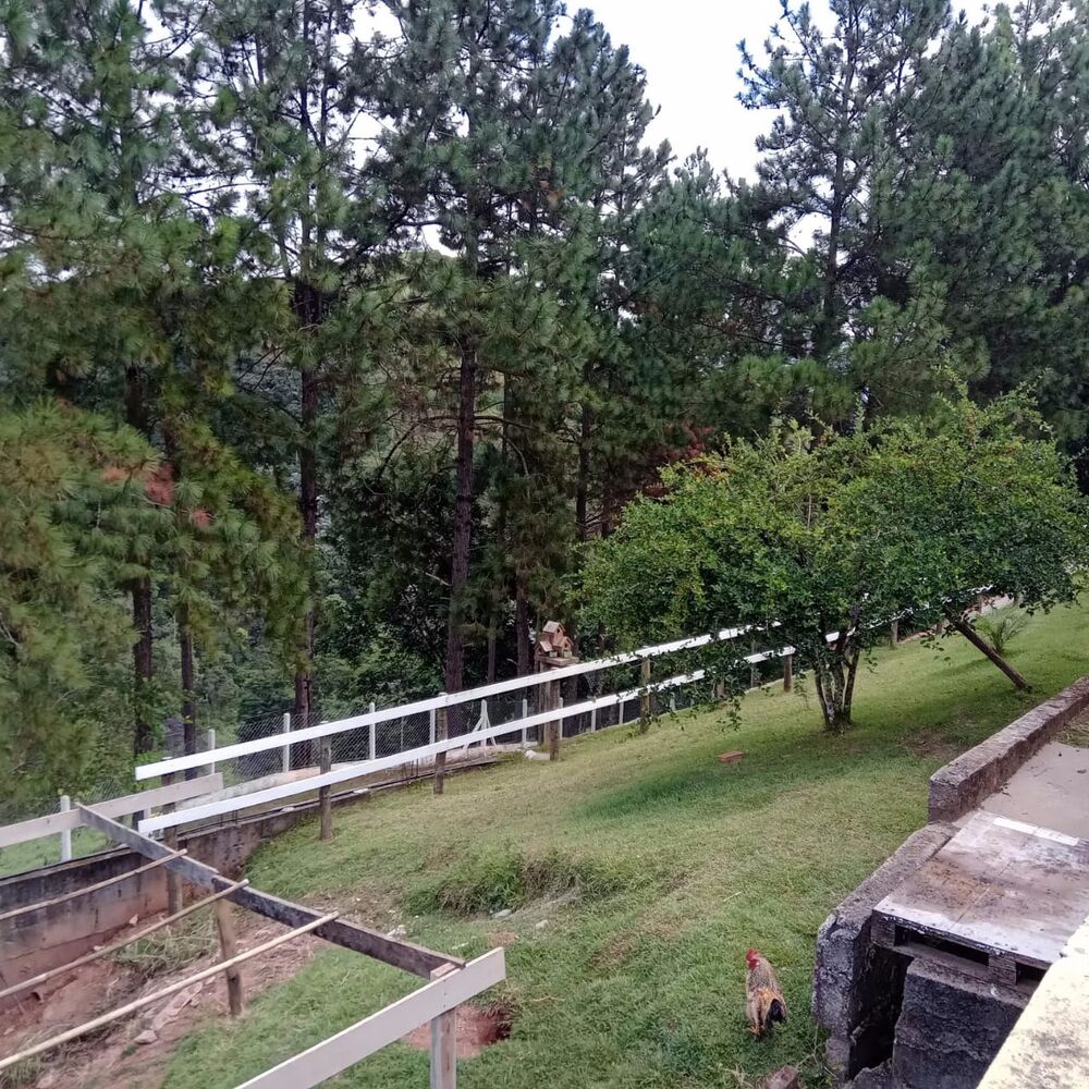 Sítio, 3 quartos, 2 hectares - Foto 11