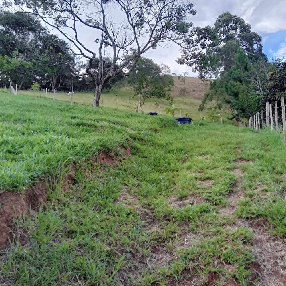 Sítio, 3 quartos, 2 hectares - Foto 17