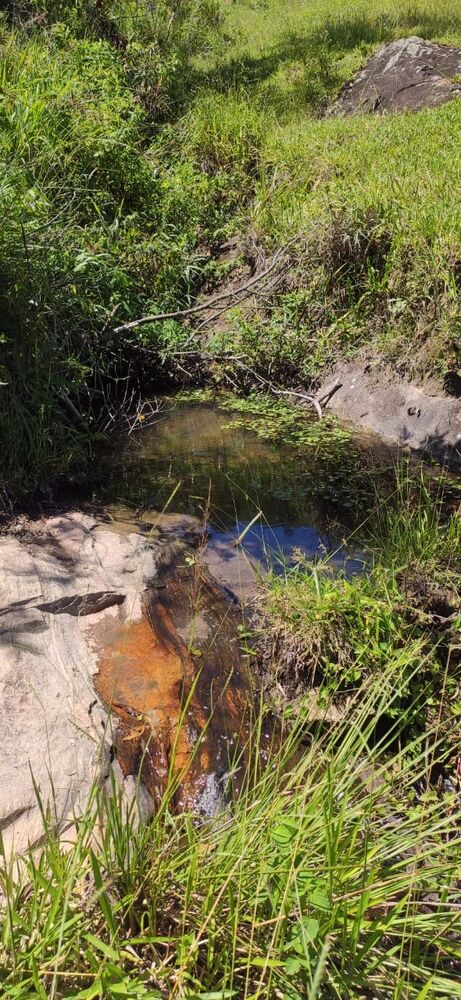 Fazenda, 44 m² - Foto 3