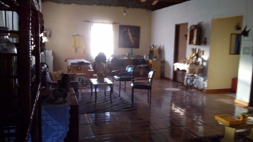 Sítio, 3 hectares - Foto 11