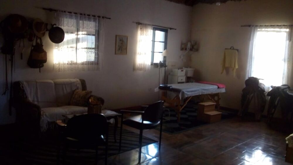 Sítio, 3 hectares - Foto 13