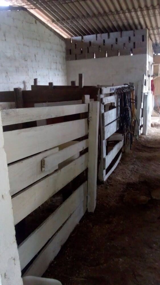 Sítio, 3 hectares - Foto 5