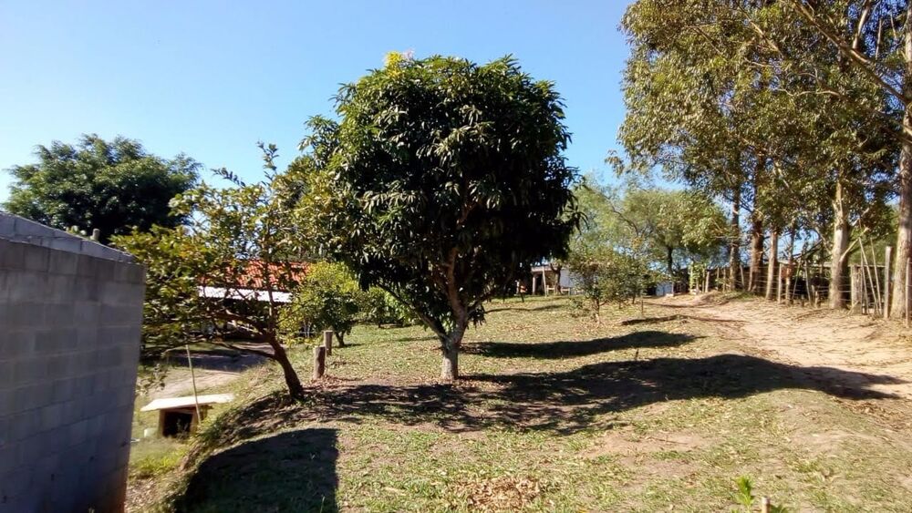 Sítio, 3 hectares - Foto 10