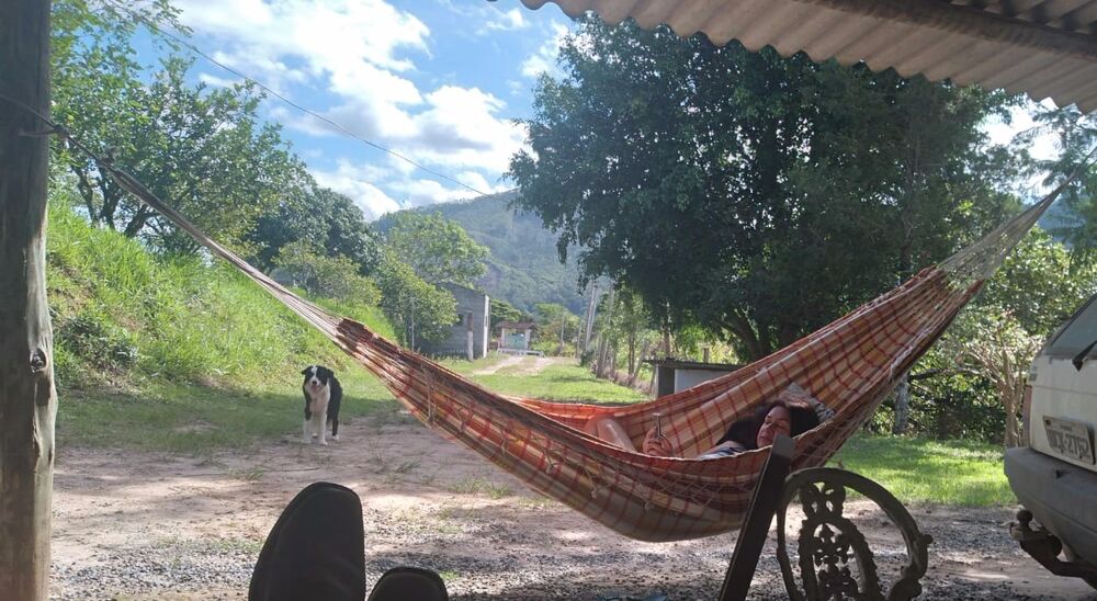 Sítio, 3 hectares - Foto 4