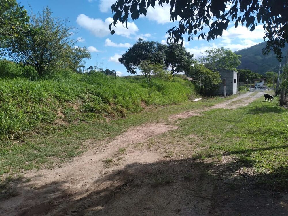 Sítio, 3 hectares - Foto 8