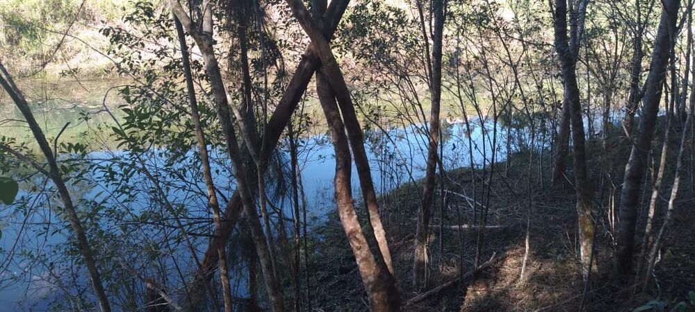 Sítio, 3 hectares - Foto 21