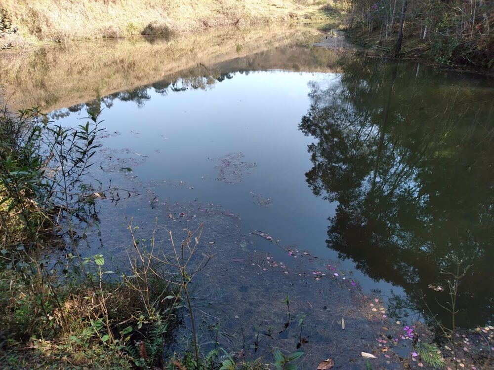 Sítio, 3 hectares - Foto 24