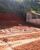 Chácara, 2 quartos, 6000 m² - Foto 2