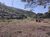 Fazenda-Sítio-Chácara, 112 m² - Foto 2