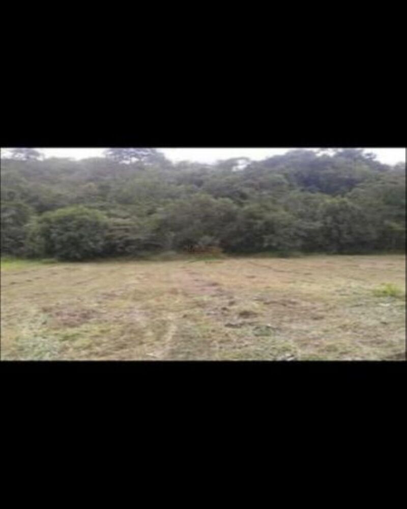 Terreno, 1267 m² - Foto 2