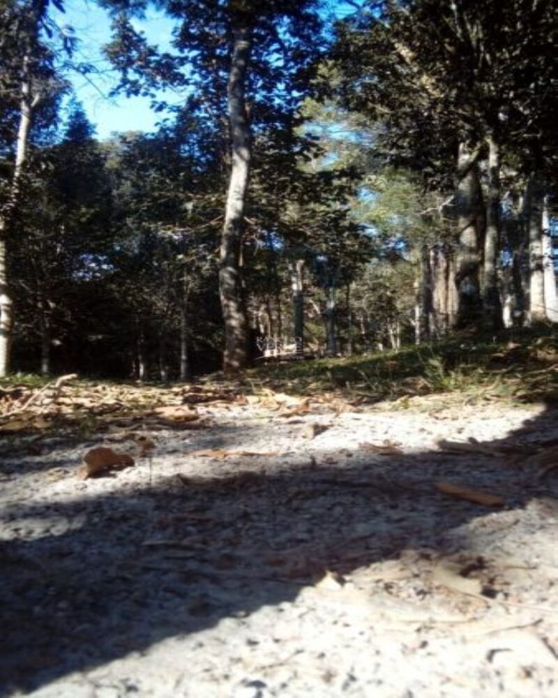 Sítio à venda com 1 quarto, 17000m² - Foto 3