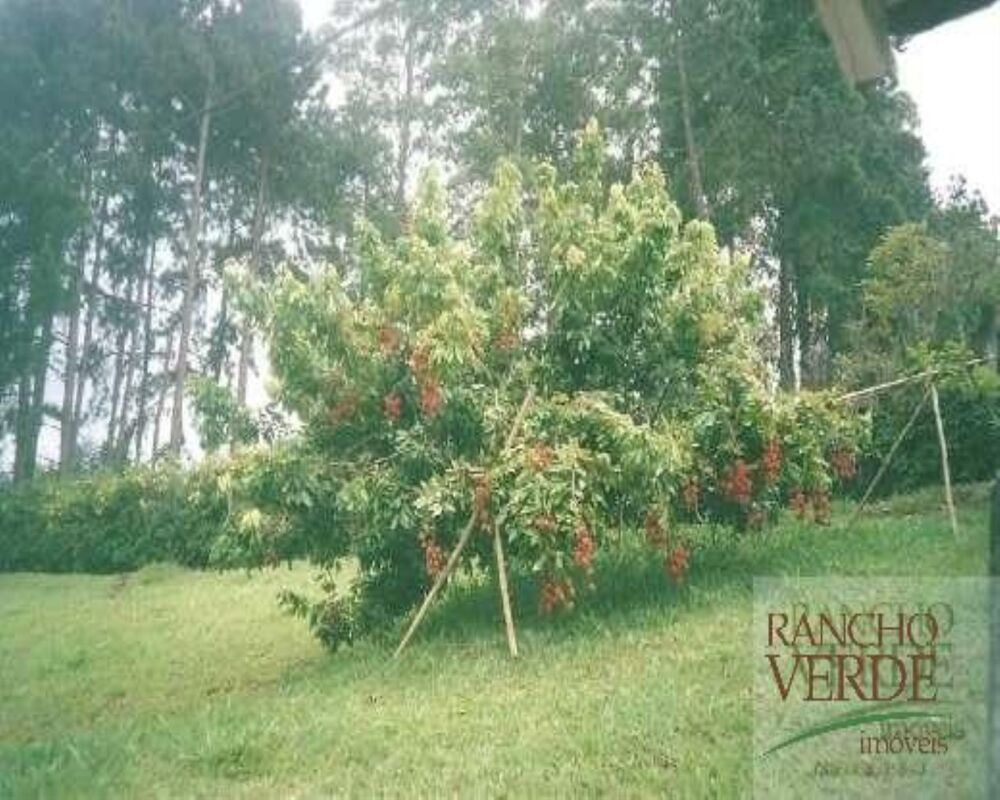 Chácara, 4 quartos, 1 hectares - Foto 3