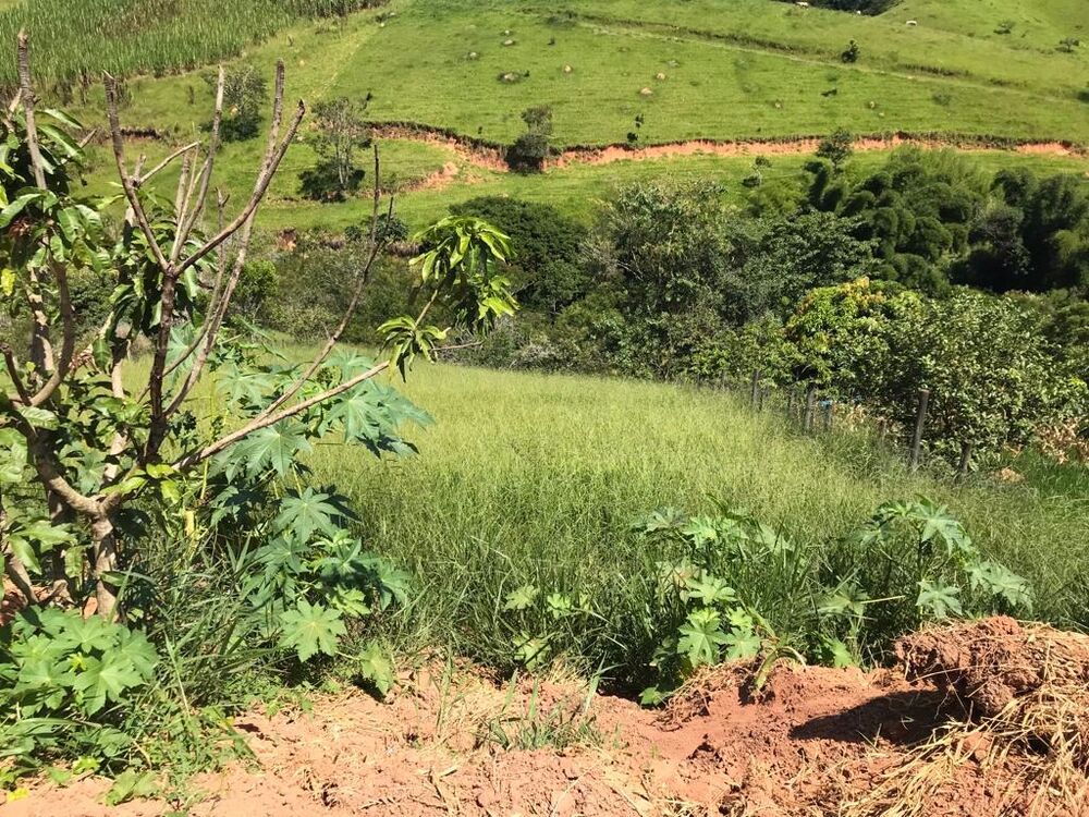 Haras e Área Rural Padrão à venda, 2390m² - Foto 3