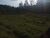 Fazenda-Sítio-Chácara, 2 hectares - Foto 4