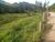 Fazenda-Sítio-Chácara, 2 hectares - Foto 2