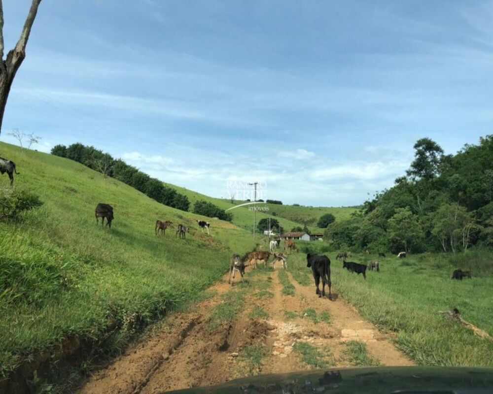 Fazenda à venda com 2 quartos, 1984400m² - Foto 18