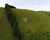Fazenda-Sítio-Chácara, 198 hectares - Foto 20