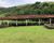 Fazenda-Sítio-Chácara, 198 hectares - Foto 22