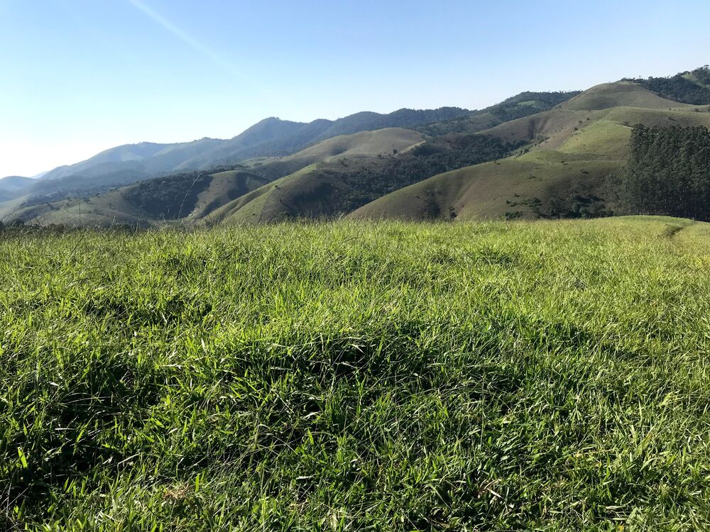 Sítio, 3 quartos, 10 m² - Foto 2