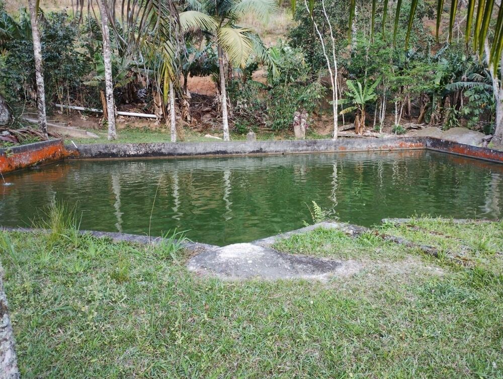 Sítio, 2 m² - Foto 35