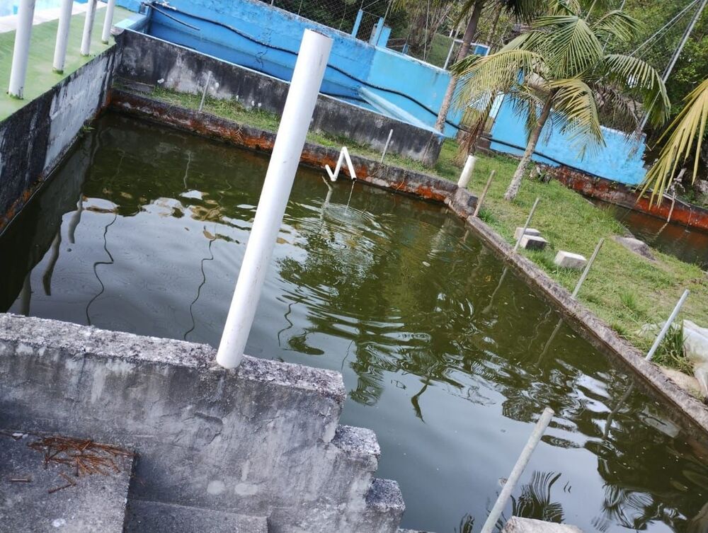 Sítio, 2 m² - Foto 32