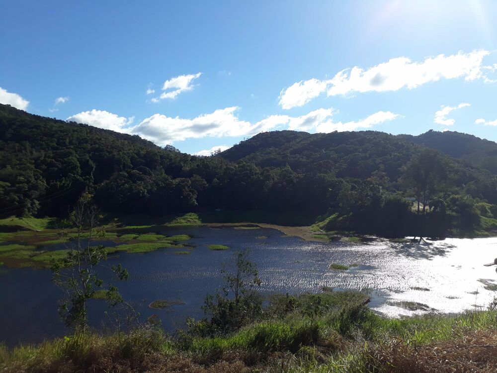 Sítio, 2 quartos, 4 hectares - Foto 1