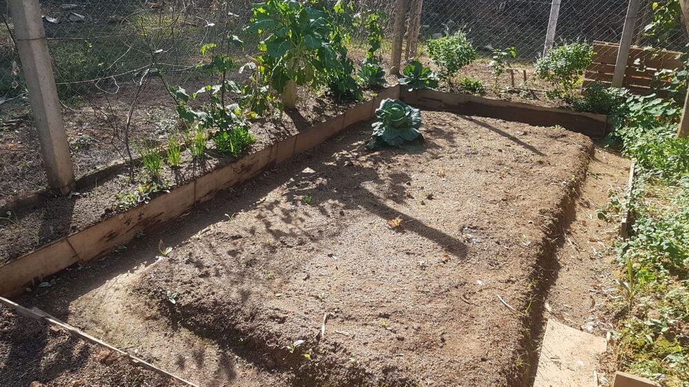 Sítio, 3 m² - Foto 37