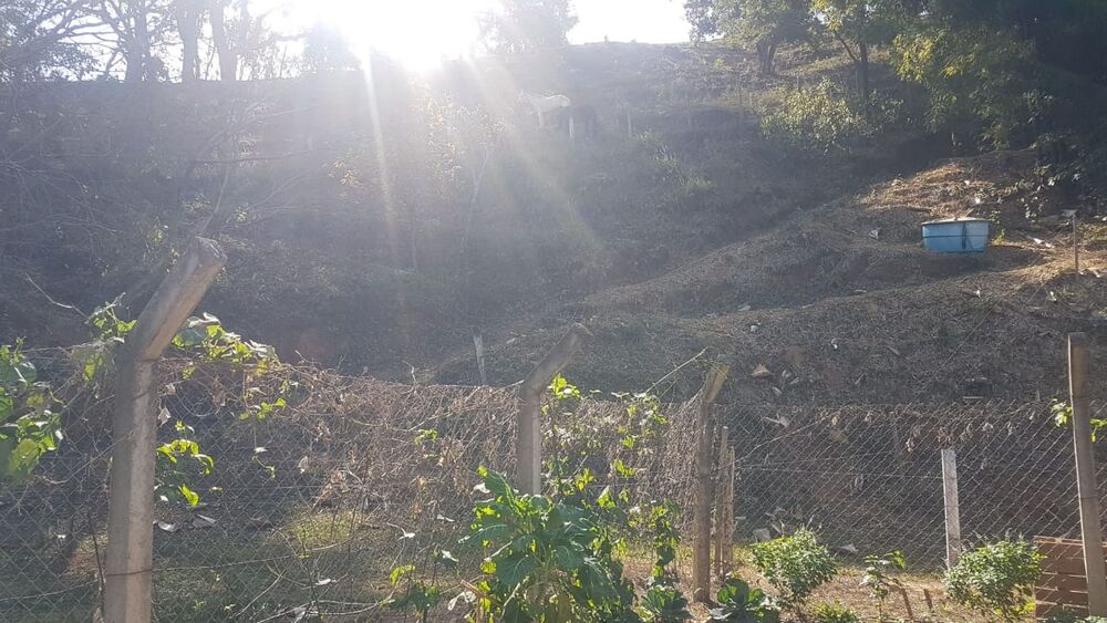 Sítio, 3 m² - Foto 36