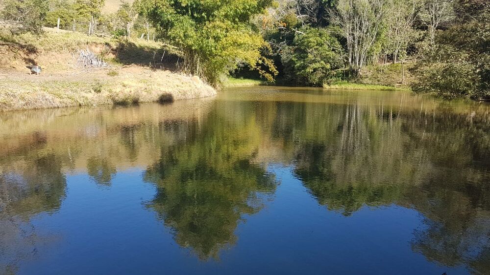 Sítio, 3 m² - Foto 39